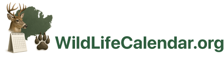 Wildlife Calendar – Seasonal Wildlife Tracking & Hunting Guide